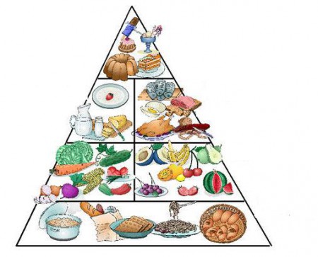 Programas Alimentarios